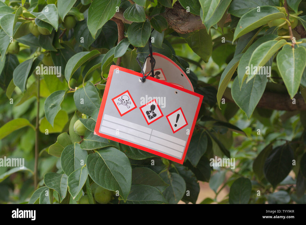 Plakat Warnung Der Einsatz von Insektiziden und Pestiziden schädlich für die Gesundheit in den Bereichen der Anbau der Kaki Stockfoto