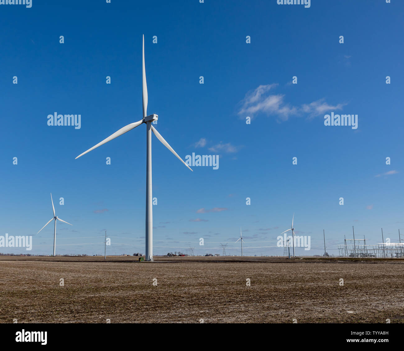 Windmill Farm mit der elektrischen Unterstation und Transmission Line im Hintergrund, im Mittleren Westen der USA, Illinois. Bule Himmel mit weißen Wolken Stockfoto