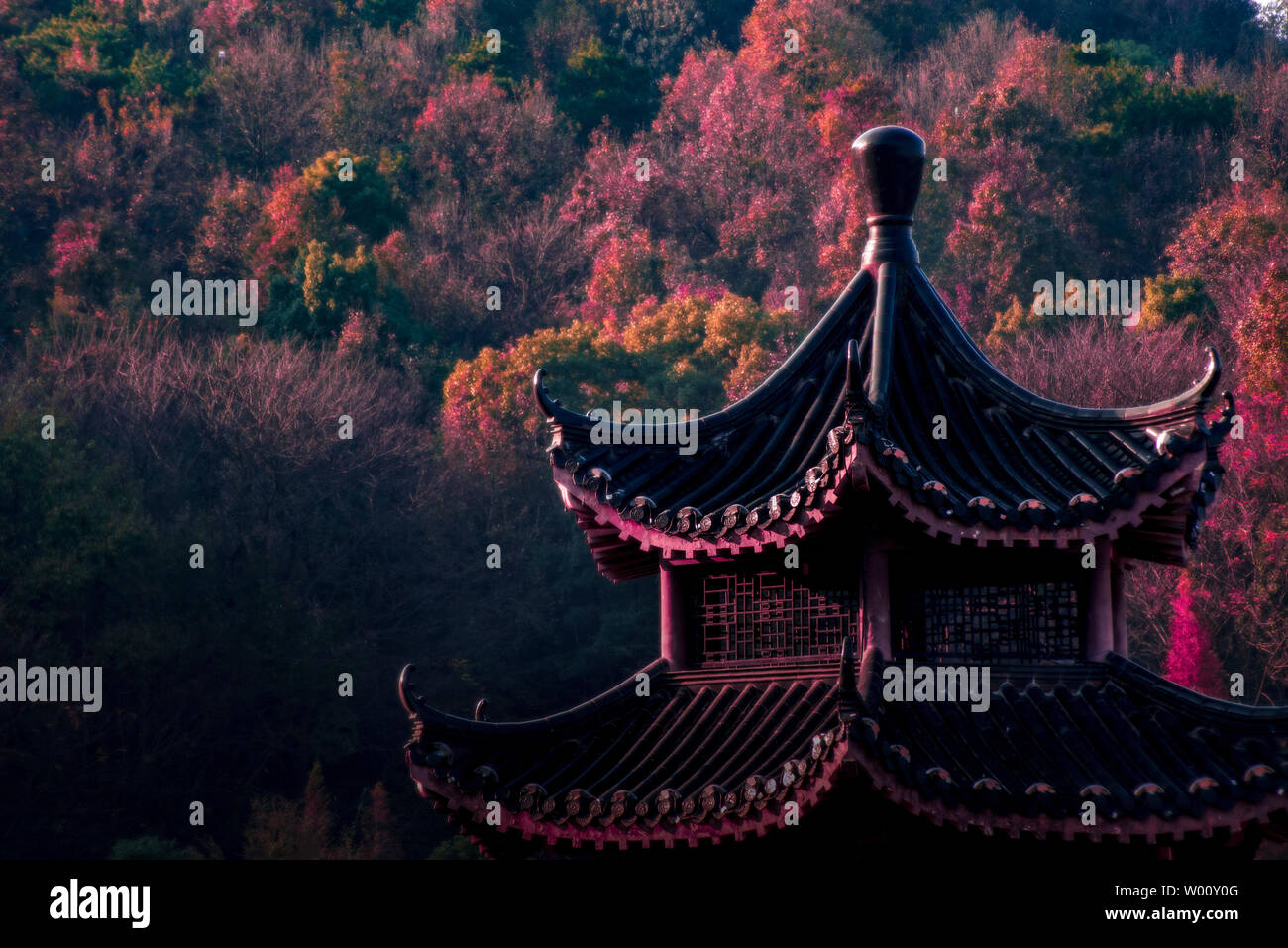 Herbst Pavillons und Ahornblätter Stockfoto