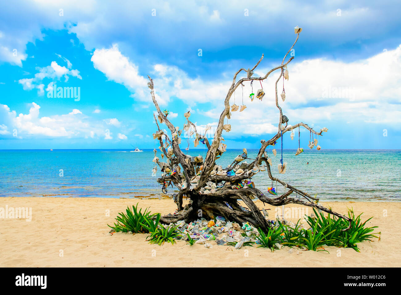 Strand Landschaft mit einem geschmückten Baum. Stockfoto