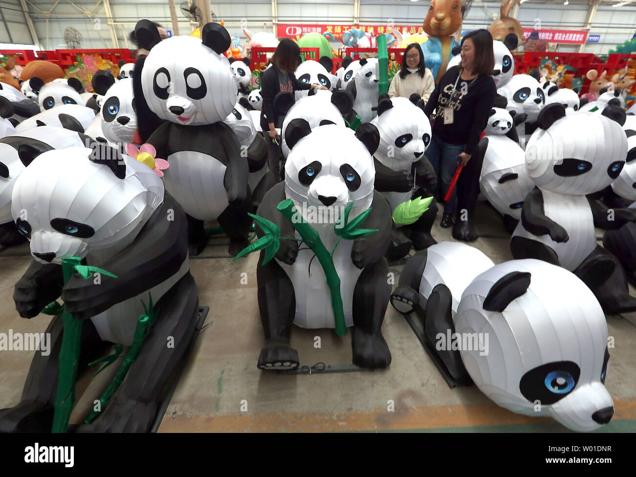 Besucher Blick auf Panda Laternen im Lager der Zigong Laterne kulturellen Industrie Gruppe in Zigong, Provinz Sichuan, China am 20. November 2017. Die globale Laterne Unternehmen ist der größte sowie der einzige internationale Marke Zulassungen für eingetragene Marken erlaubt, in der Welt werden, so der Sprecher des Unternehmens. Traditionelle und moderne Laternen des Unternehmens werden häufig aus europäischen Ländern und den USA für Ausstellungen, Festivals und kulturelle Veranstaltungen ausgeliehen. Foto von Stephen Rasierer/UPI Stockfoto