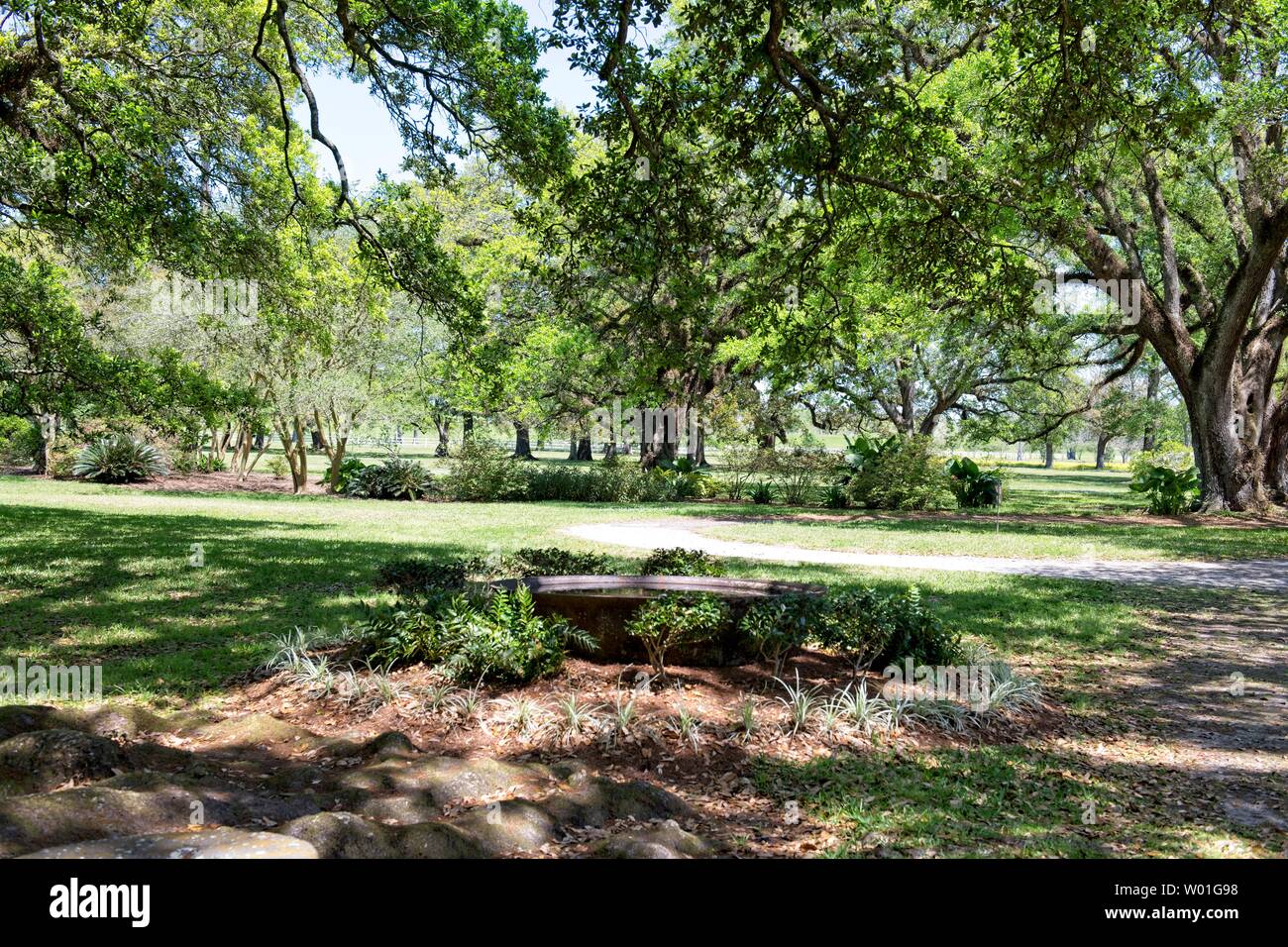 Majestätische Eichen umgeben das Gelände der Oak Alley Plantation in Vacherie, Louisiana Stockfoto