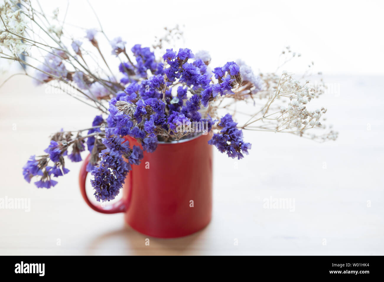 Vergessen Sie nicht mir und die Sterne, trockene Blumen, unter dem Fenster. Stockfoto