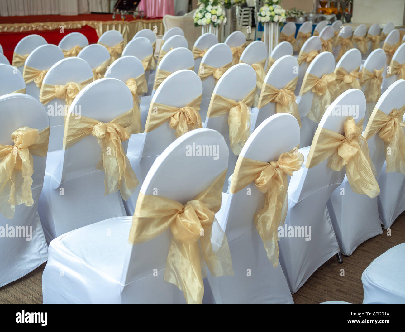 Reihen von schönen weiß und sauber Hochzeit Stühle mit gold Bänder in  Hochzeit gehalten Stockfotografie - Alamy