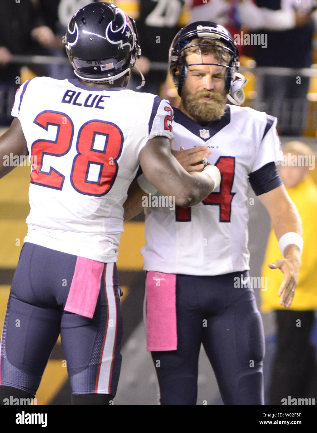 Houston Texans Quarterback Ryan Fitzpatrick (14) begrüßt die Houston Texans zurück läuft Alfred Blau (28) Während des Warm ups vor dem Start des Spiels gegen die Pittsburgh Steelers am Heinz Feld in Pittsburgh am 20. Oktober 2014. UPI/Archie Tischler Stockfoto