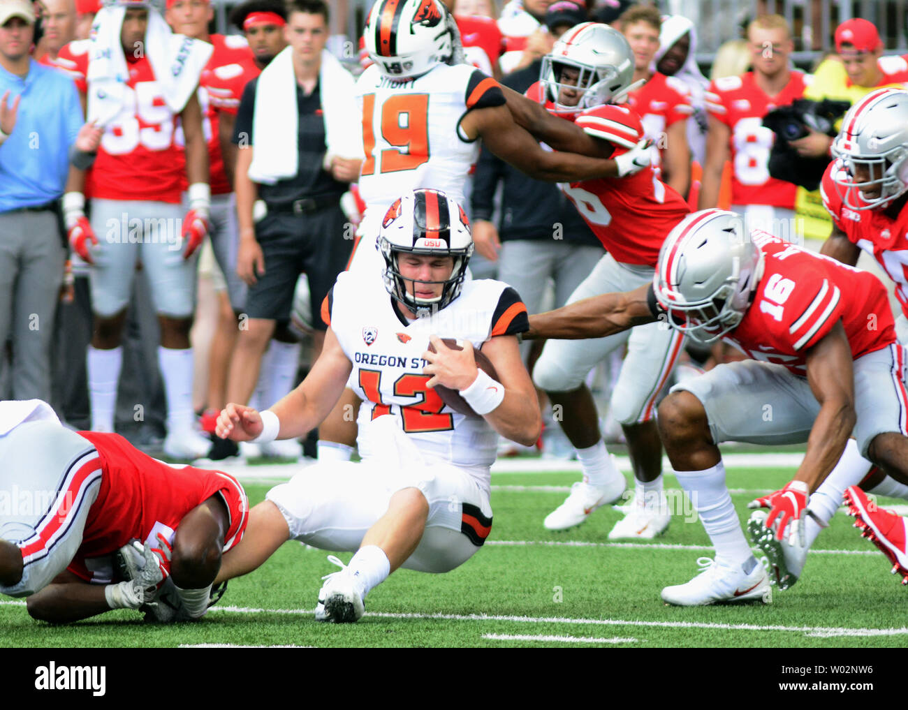 Ohio State Buckeyes Säcke Oregon State Beavers Quarterback Jack Colletto (12) im vierten Quartal die Roßkastanien 77-31 Gewinn gegen die Oregon State Beavers am Ohio Stadium in Columbus, Ohio am 1. September 2018. Foto von Archie Tischler/UPI Stockfoto