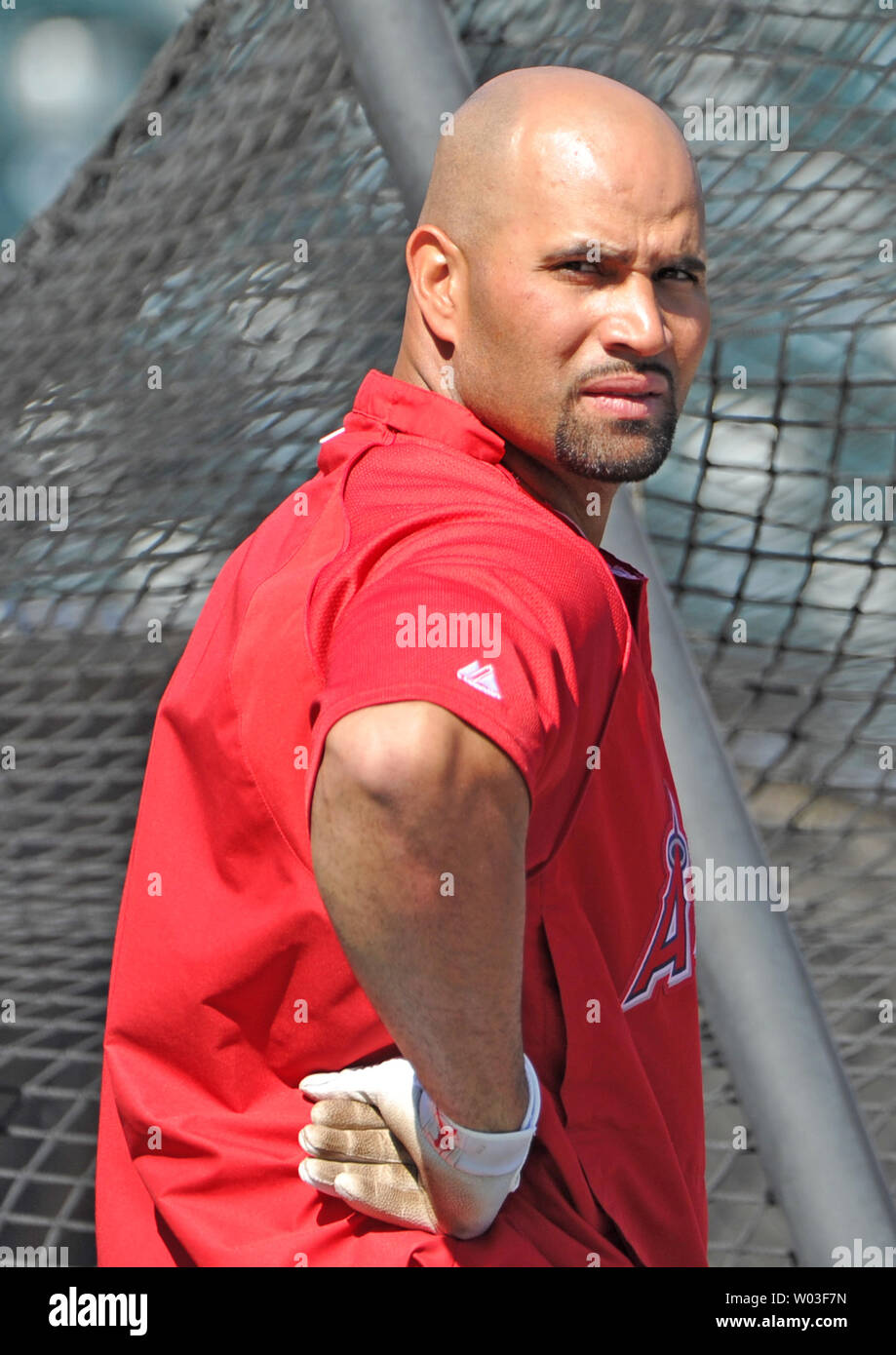 Los Angeles Angels' Albert Pujols wartet auf seine biegen Sie an bat während der schlagenden Praxis vor den Engeln' Cactus League Spring Training Spiel gegen die Los Angeles Dodgers bei Tempe Diablo Stadion in Tempe, Arizona, March 12, 2012. UPI/Kunst Foxall Stockfoto