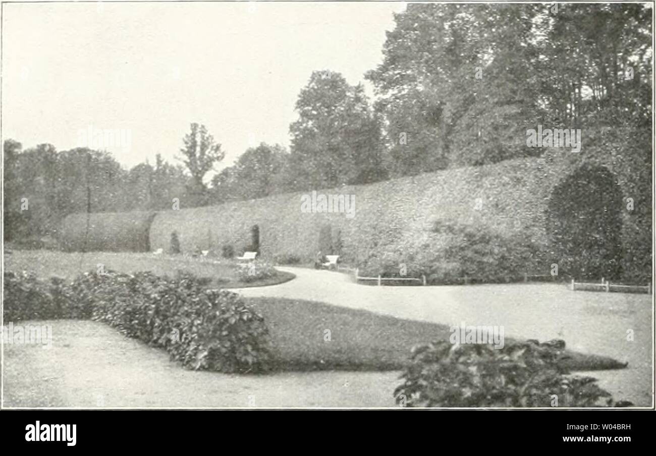 Archiv Bild von Seite 251 sterben Gartenkunst (1899). Die Gartenkunst diegartenkunst 11 5Mose Jahr: 1899 152 STERBEN GARTENKUNST. XI: j Aus dem Hofgarten von Schwerin. Laubengänge. gleitet ist und dessen Ränder mit Skulpturen ge-schmückt Sindh. Of this Kreuzkanal mündet in einer Art freien Gartengrundes in zwei Armen aus, und das Ganze wird gegen das Schloß zu durch einen Halbkreis nied- riger, Pflanzungen abgeschlossen. Das Schloß selbst Balatonfüred auf einer Insel des Schweriner sieht und ist mit dem Garten nur verlieren durch einen Brückenweg verbunden. Das Hauptmerkmal of this Gartenflucht Balatonfüred darin, d Stockfoto