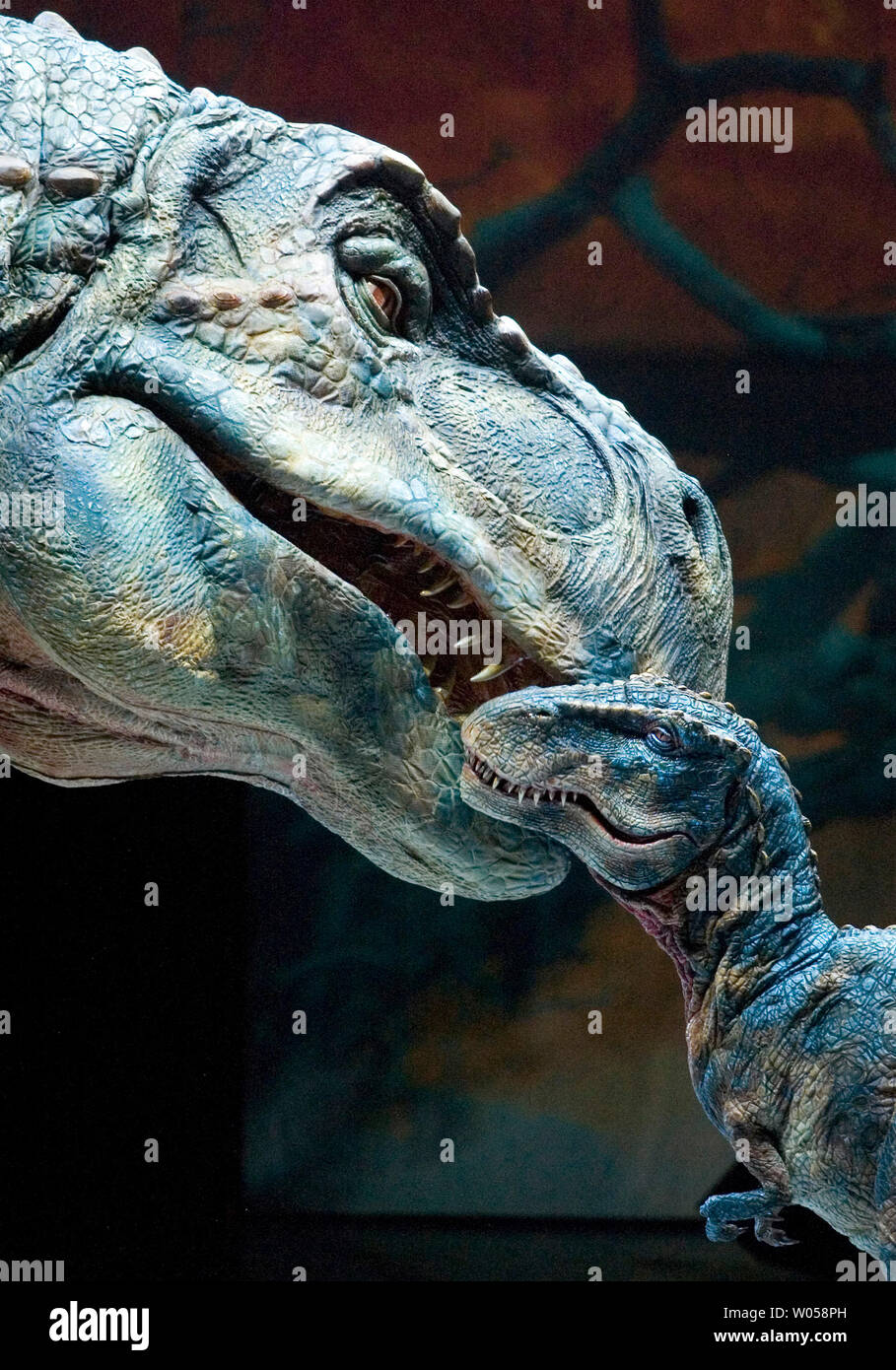 Eine Tyrannonsurus Rex Mutter nuzzles it Baby nach Verteidigung der Youngster gegen eine Torosaurs Angriff auf dem Tacoma Dome in Tacoma, Washington am 11. Juli 2007. 15 Dinosaurier, die die Erde etwa 208 Millionen Jahren durchstreifte, haben wieder zum Leben über LKW-Batterien, Hydraulik und Puppenspieler in der 90-minütigen Show brachte, "Gehen mit Dinosaurieren - die Live erleben", die auf der preisgekrönten BBC-Fernsehserie weg getreten sind es sieben Stadt Sommer tour in den USA und Kanada. (UPI Foto/Jim Bryant) Stockfoto