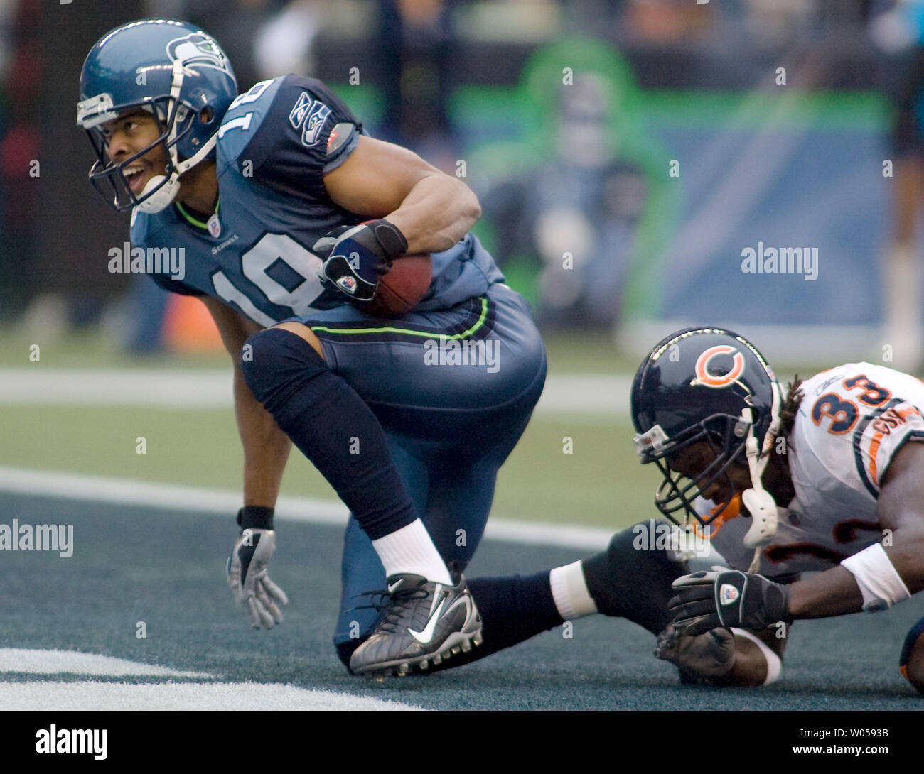 Breite Seattle Seahawks 'Empfänger K. Hackett (R) nimmt sich der Rasen nach dem Fang einen 19 Yard Touchdown Pass von Matt Hasselbeck zwischen Chicago Bears Verteidiger Charles Tillman (R) und Danieal Manning (nicht gezeigt) im ersten Quartal in der Qwest Field in Seattle am 18. November 2007. (UPI Foto/Jim Bryant) Stockfoto