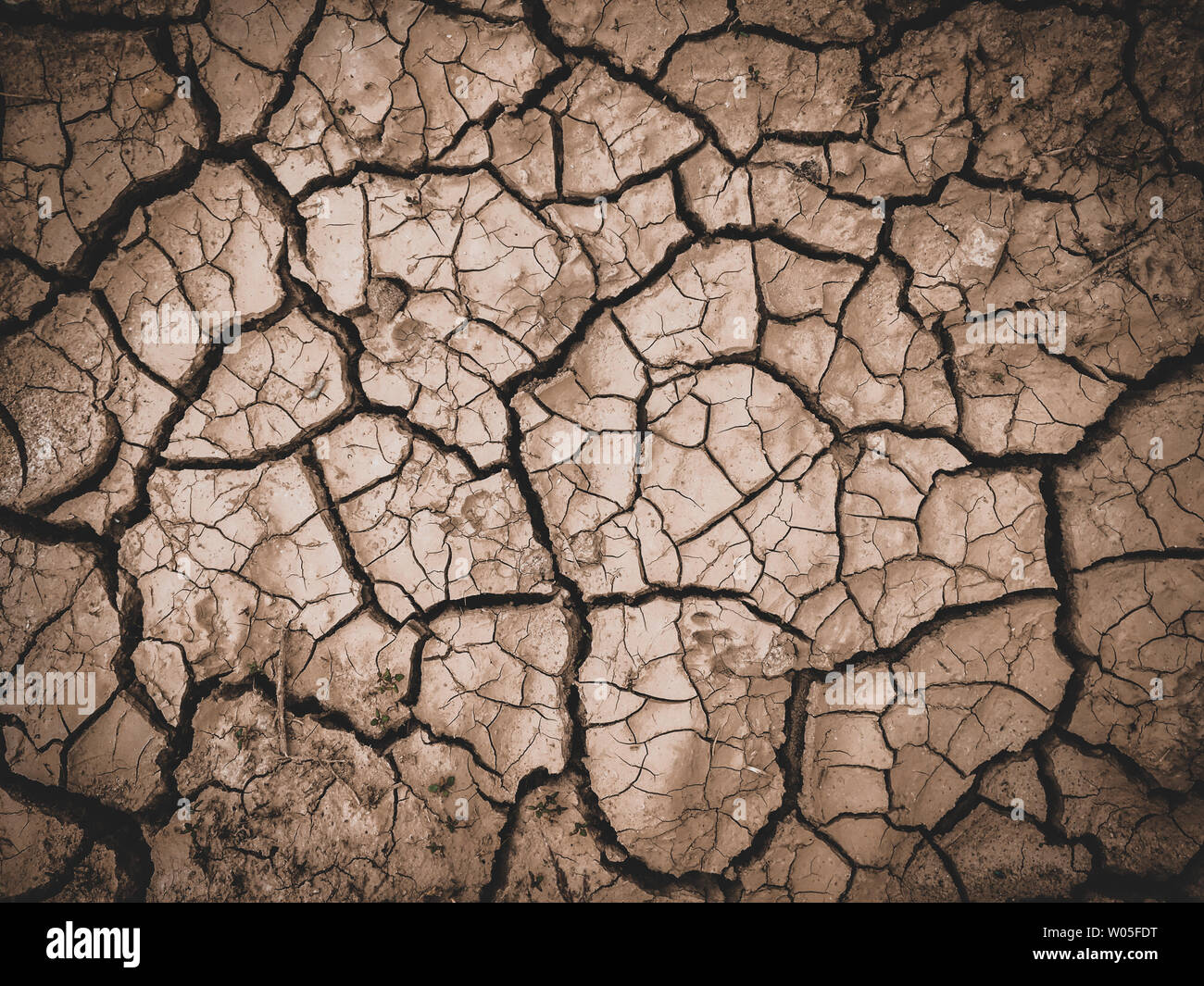 Trockene rissige braun Erde Hintergrund Stockfoto