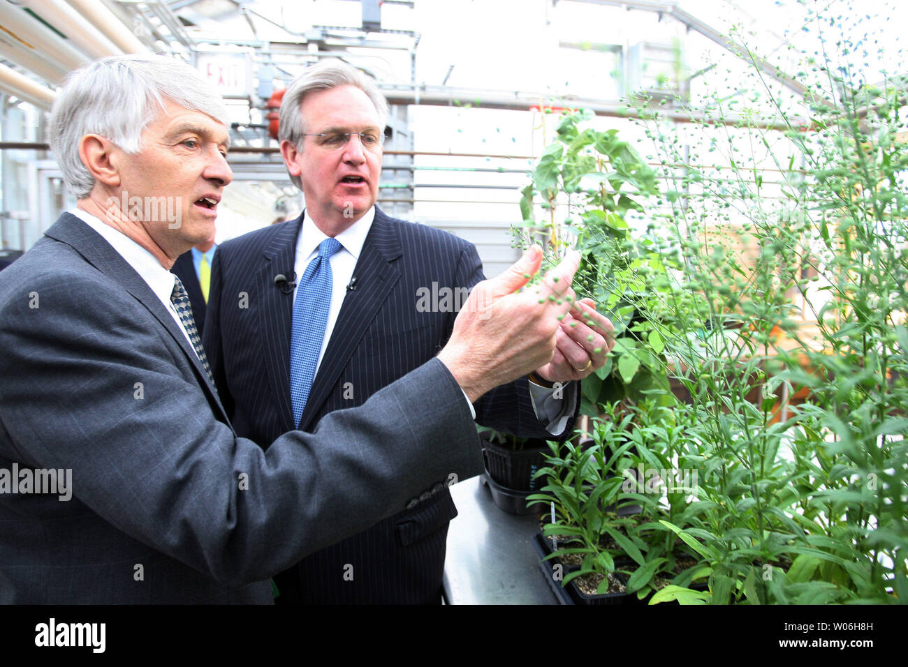 Missouri Gouverneur Jay Nixon (R) erhält einen genaueren Blick auf eine camelina Pflanze als Dr. Roger Beachy Präsident des Danforth Plant Science Center erklärt, bei einem Rundgang durch die Anlage in Creve Coeur, Missouri am 26 Februar, 2009. Nixon besuchten das Zentrum die Bedeutung der Umwandlung Missouri Wirtschaft durch die Schaffung von Arbeitsplätzen in der nächsten Generation das Leben und Werk der Wissenschaft Felder zu diskutieren. (UPI Foto/Rechnung Greenblatt) Stockfoto