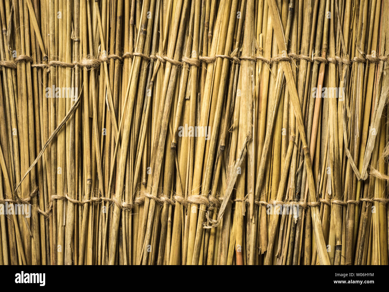 Sehr detaillierte Bambus Hintergrund. Perfekte natürliche Textur. Stockfoto