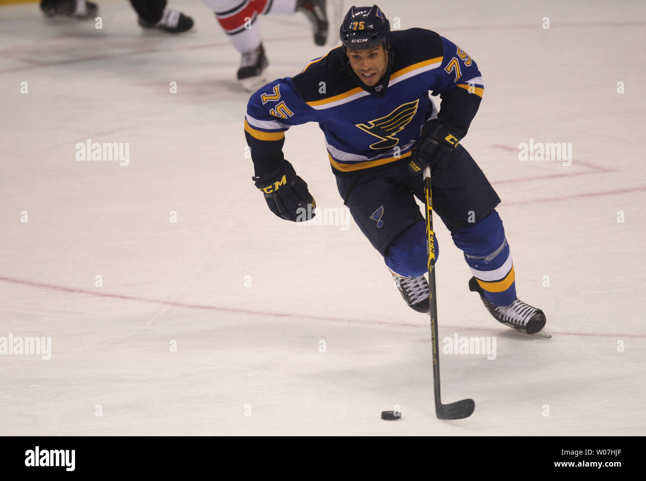 St. Louis Blues Ryan Reaves bewegt den Puck auf dem Eis gegen die ...