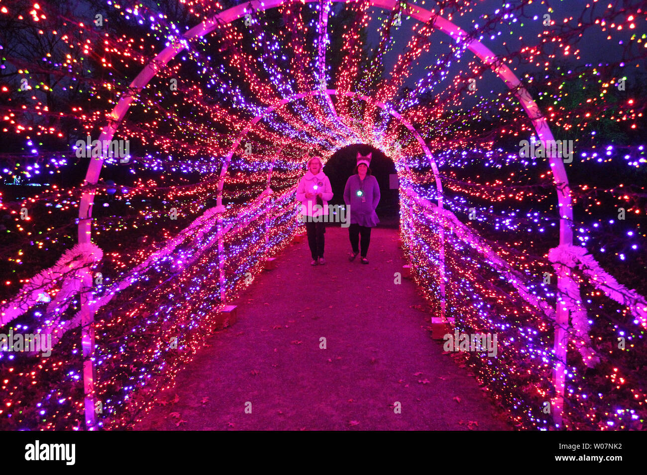 Besucher nach Missouri Botanical Gardens Spaziergang durch das Funkeln Tunnel während der Nacht der Garten Leuchten an der Missouri Botanical Gardens in St. Louis am 20. November 2015. Der Botanische Garten ist in buntes Licht zeigt die Bäume, Pflanzen und climatron verwandelt, ein Gewächshaus in einer geodätischen Kuppel umschlossen. Foto von Bill Greenblatt/UPI Stockfoto