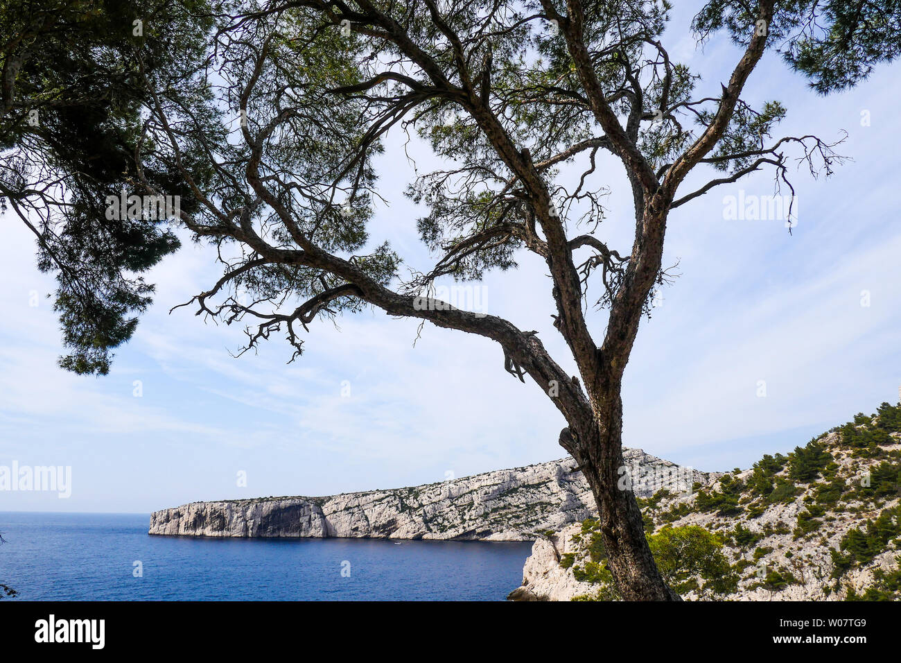 Calanque Sugiton kap Morgiou aus gesehen, Calanques von Marseille, Bouches-du-Rhône, Frankreich Stockfoto