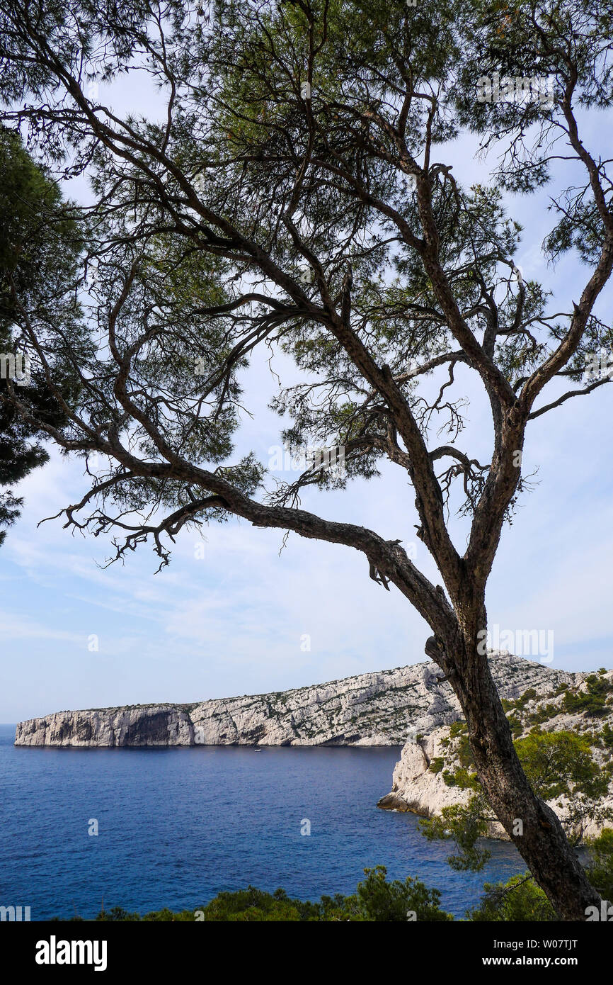 Calanque Sugiton kap Morgiou aus gesehen, Calanques von Marseille, Bouches-du-Rhône, Frankreich Stockfoto