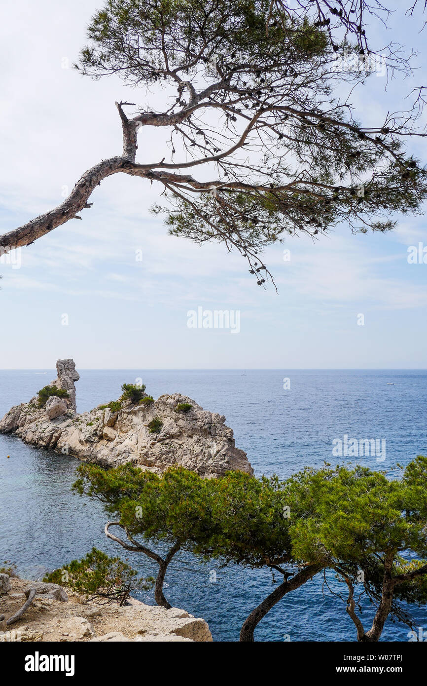 Die Torpilleur, calanque Sugiton, Calanques von Marseille, Bouches-du-Rhône, Frankreich Stockfoto