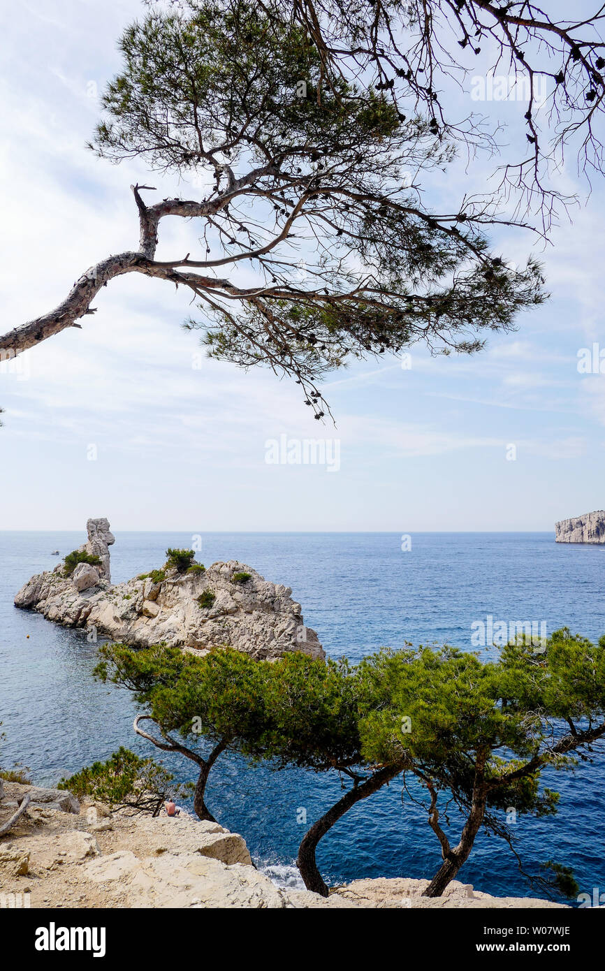 Die Torpilleur, calanque Sugiton, Calanques von Marseille, Bouches-du-Rhône, Frankreich Stockfoto