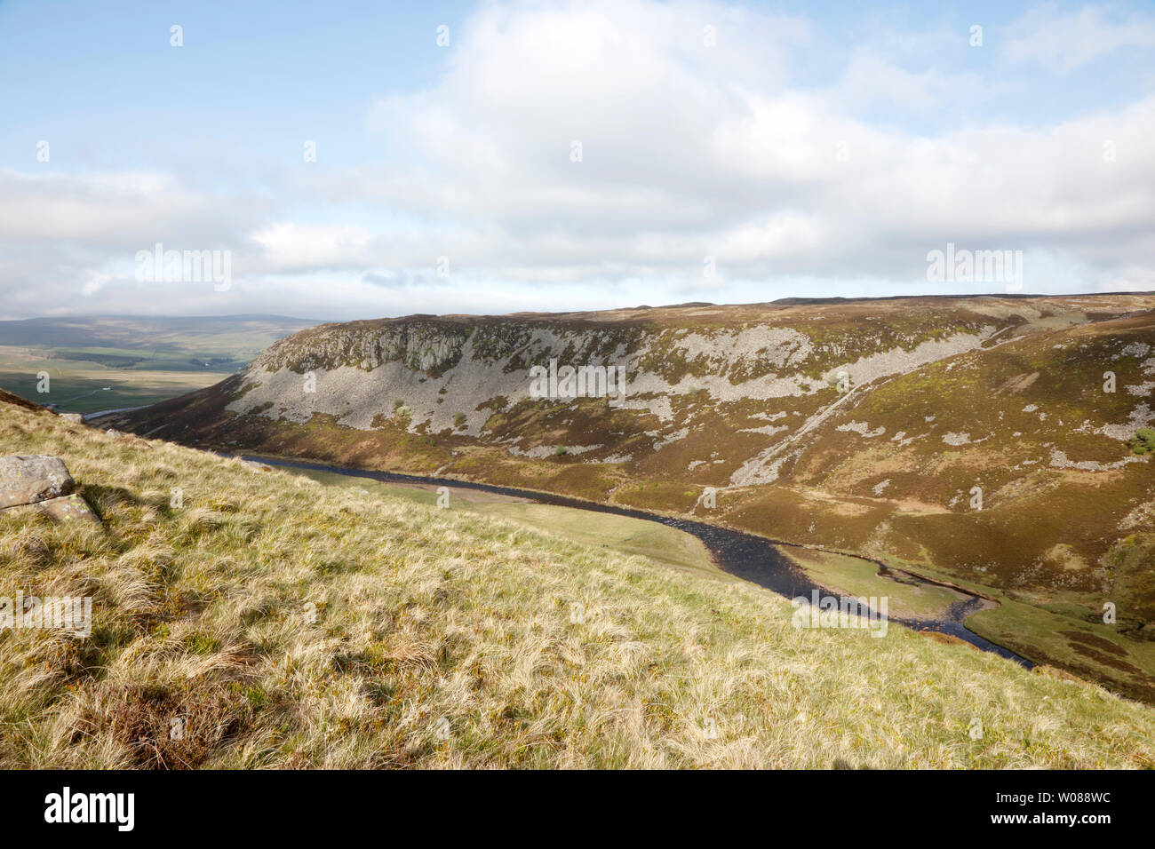 River Tees in Cronkley Narbe, Obere Teesdale, County Durham, England, Großbritannien Stockfoto