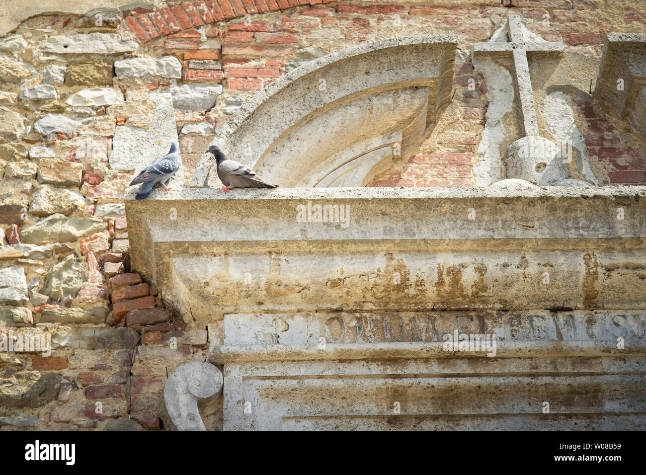 Zwei Vögel auf einem antiken Sturz. Poppi, Toskana, Italien. Stockfoto