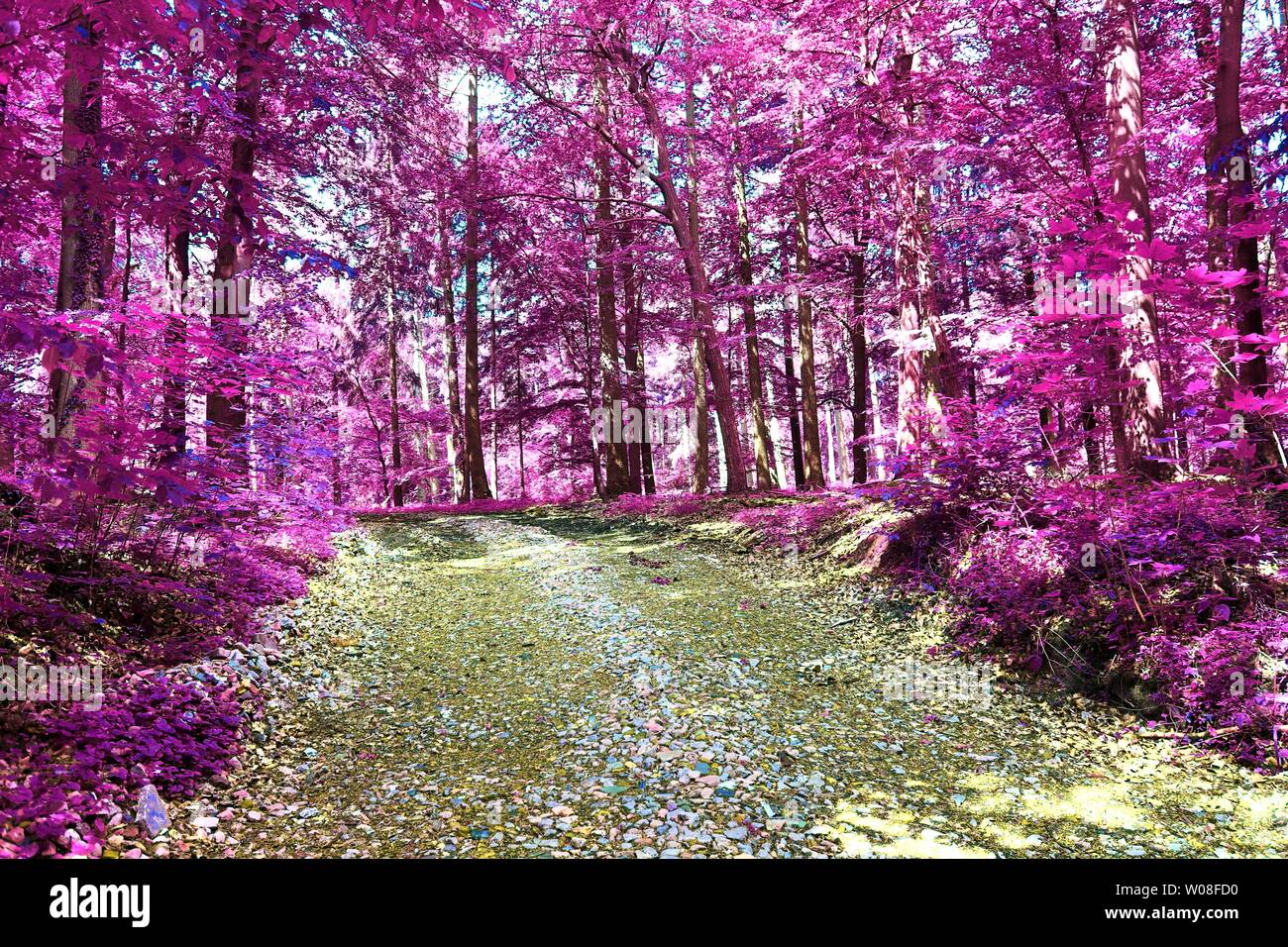 Schöne infrarot Blick in ein lila Fantasy Forest Stockfoto