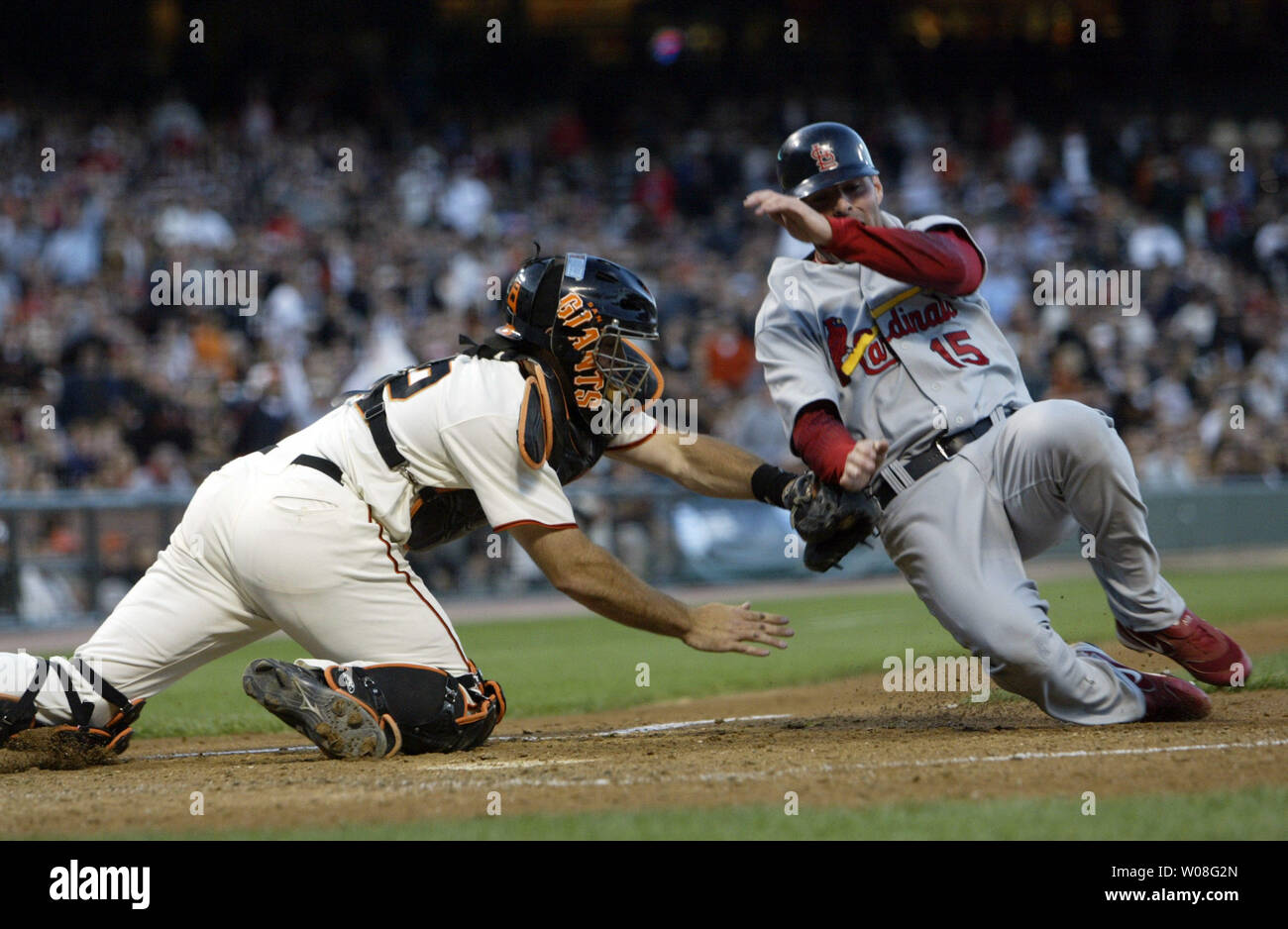 St. Louis Cardinals Jim Edmonds (R) ist zu Hause durch San Francisco Giants Mike Matheny Schlagwörter, nachdem er zum Ergebnis aus zunächst auf einem Juan Encarnacion double im dritten Inning bei AT&T Park in San Francisco am 23. Mai 2006 versucht. Die Kardinäle die Riesen besiegte 8-5. (UPI Foto/Bruce Gordon) Stockfoto