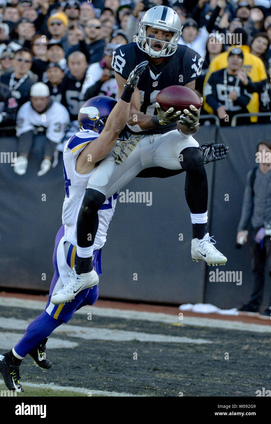 Oakland Raiders WR Andre Holmes (18) springt ein TD-Pass von QB Derek Carr über Minnesota Vikings Harrison Smith im zweiten Quartal an O. co Coliseum in Oakland, Kalifornien, am 15. November 2015. Foto von Terry Schmitt/UPI Stockfoto