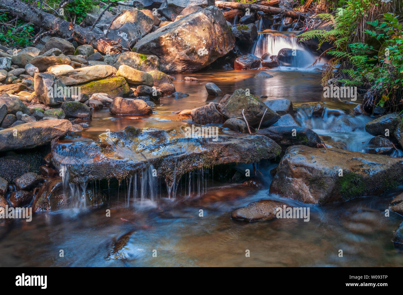 Clear Mountain Creek tief im Wald. Karpaten, Ukraine Stockfoto