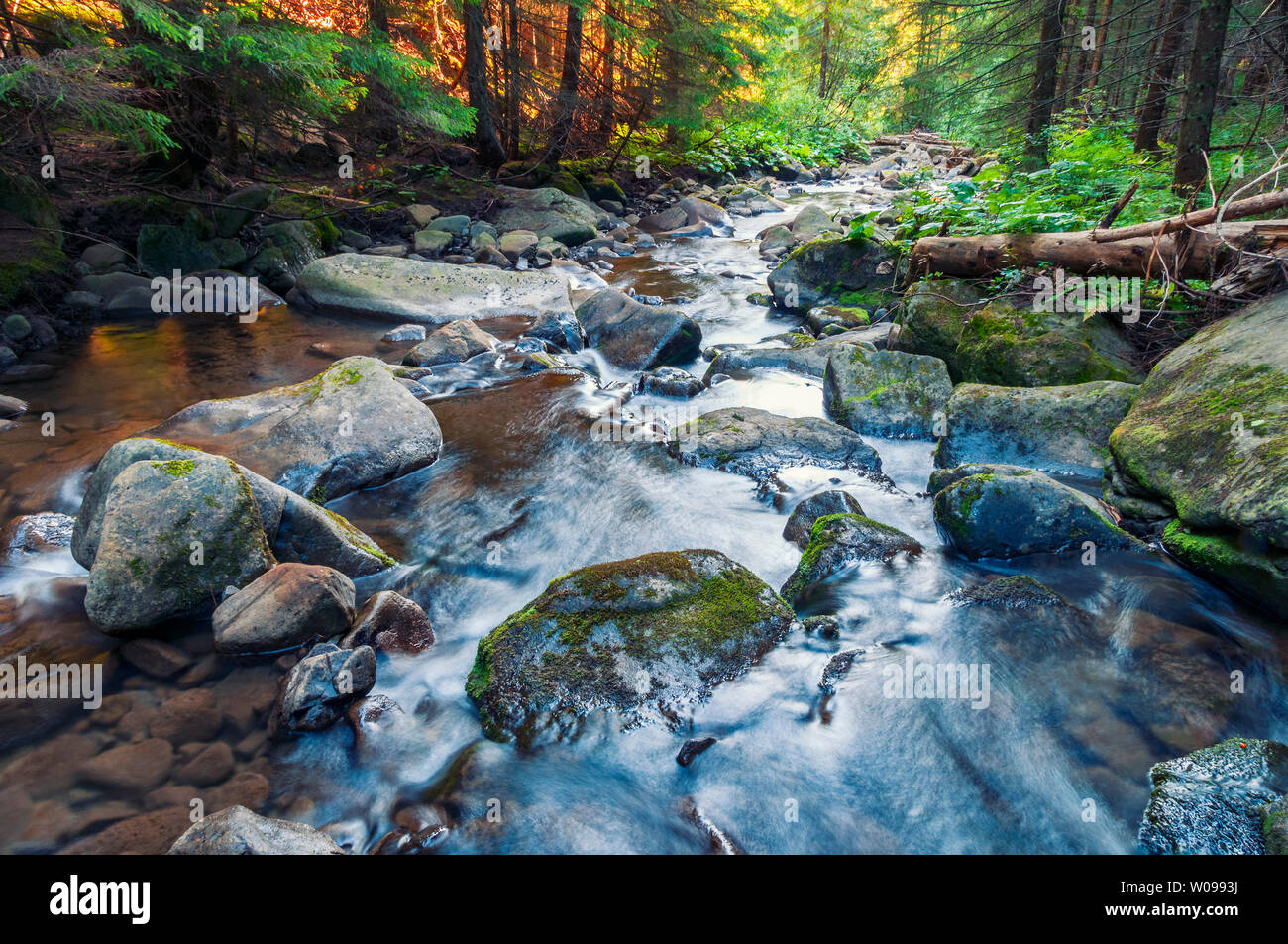 Wunderschönes Wasser Strom tief im Wald. Bunte Szene der wilde unberührte Natur. Stockfoto