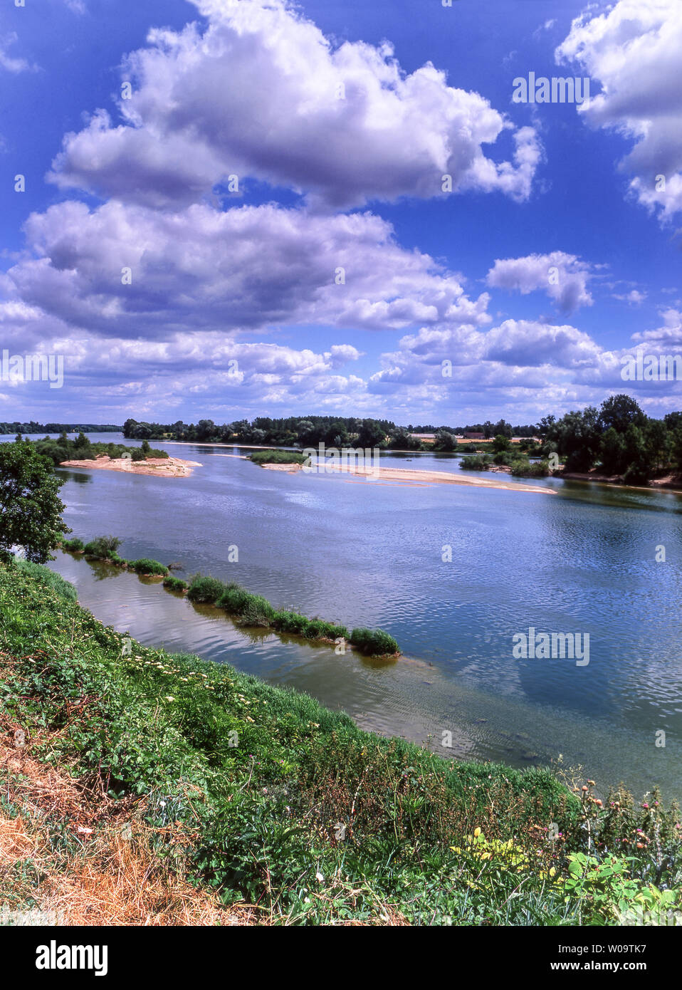 Frankreich. Die Loire in der Nähe der Stadt Blois. Dept Loire et Cher. Die einzige 'Wilden' großen Fluss in Frankreich. Stockfoto
