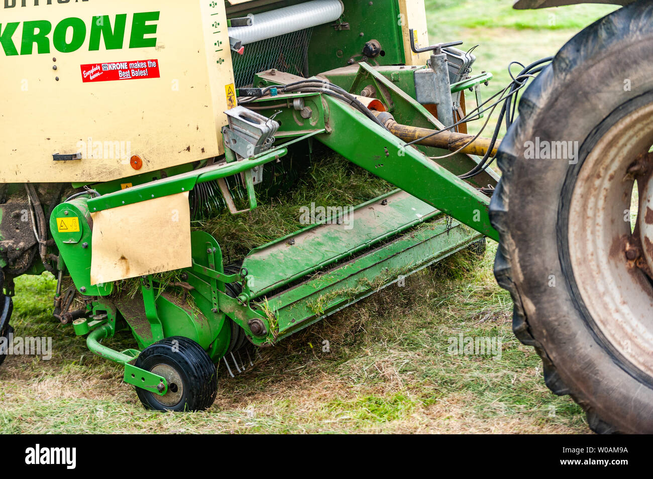Ballydehob, West Cork, Irland. Juni 2019. Der Durrus-Bauer Michael Pat ward bagelt Gras für Silage. Die Ballen werden als Winterfutter für Rinder verwendet. Quelle: AG News/Alamy Live News. Stockfoto