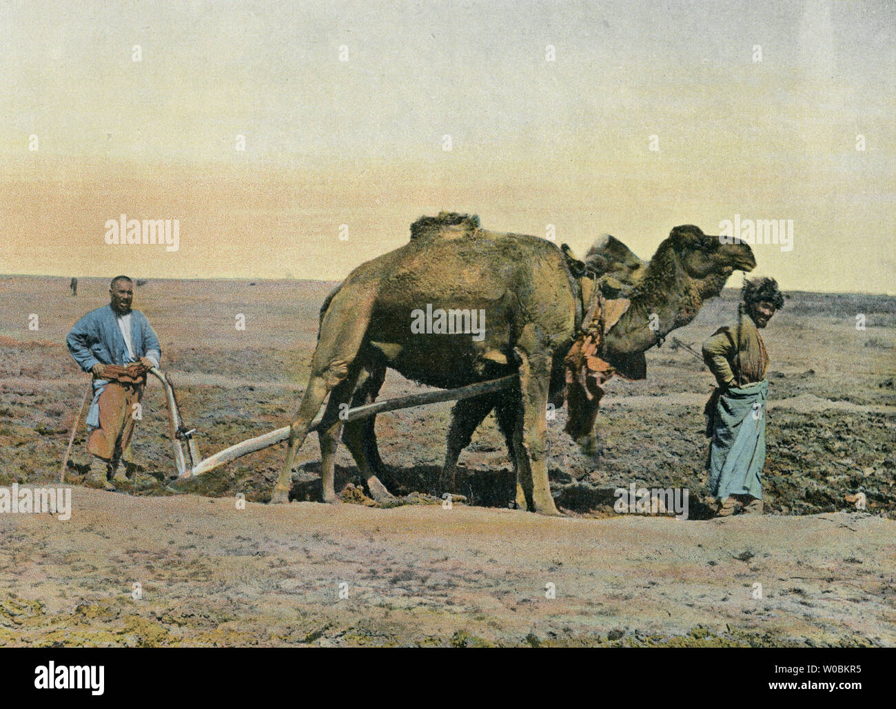 Antike landwirtschaft -Fotos und -Bildmaterial in hoher Auflösung – Alamy