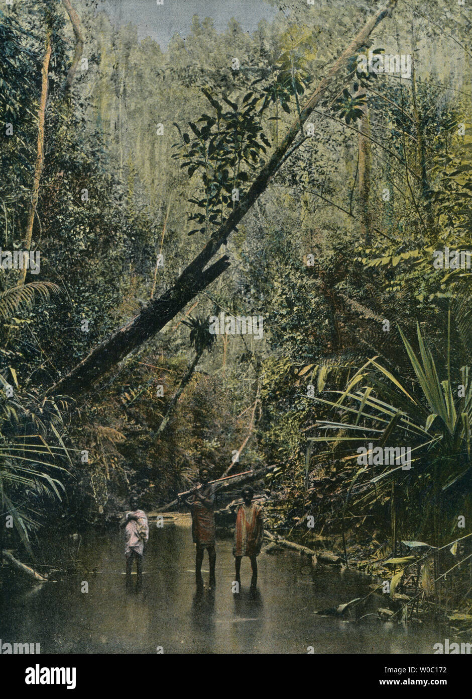 Dschungel, Hunter Stockfoto