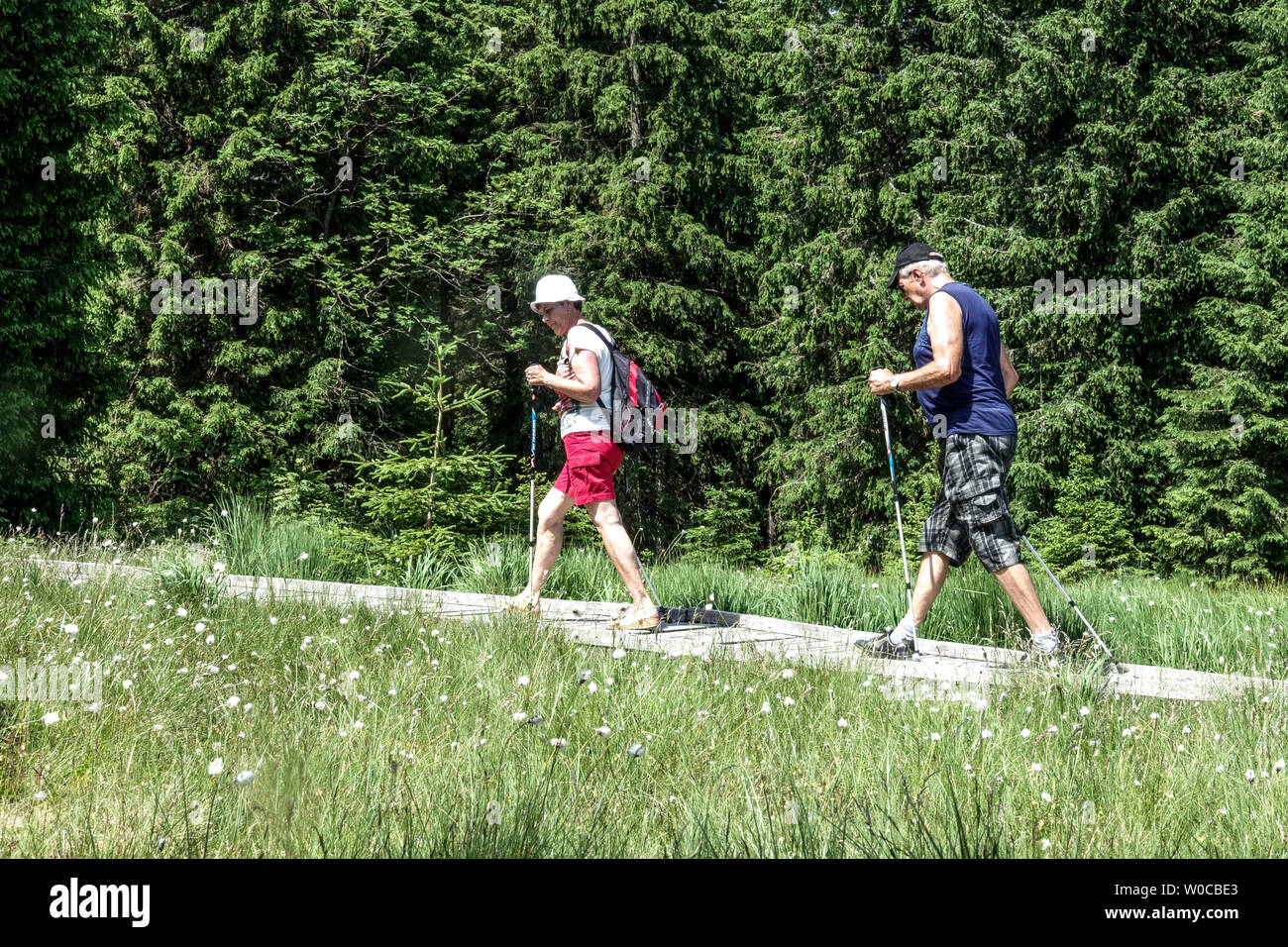 Senioren, nordic walking Paar Stockfoto
