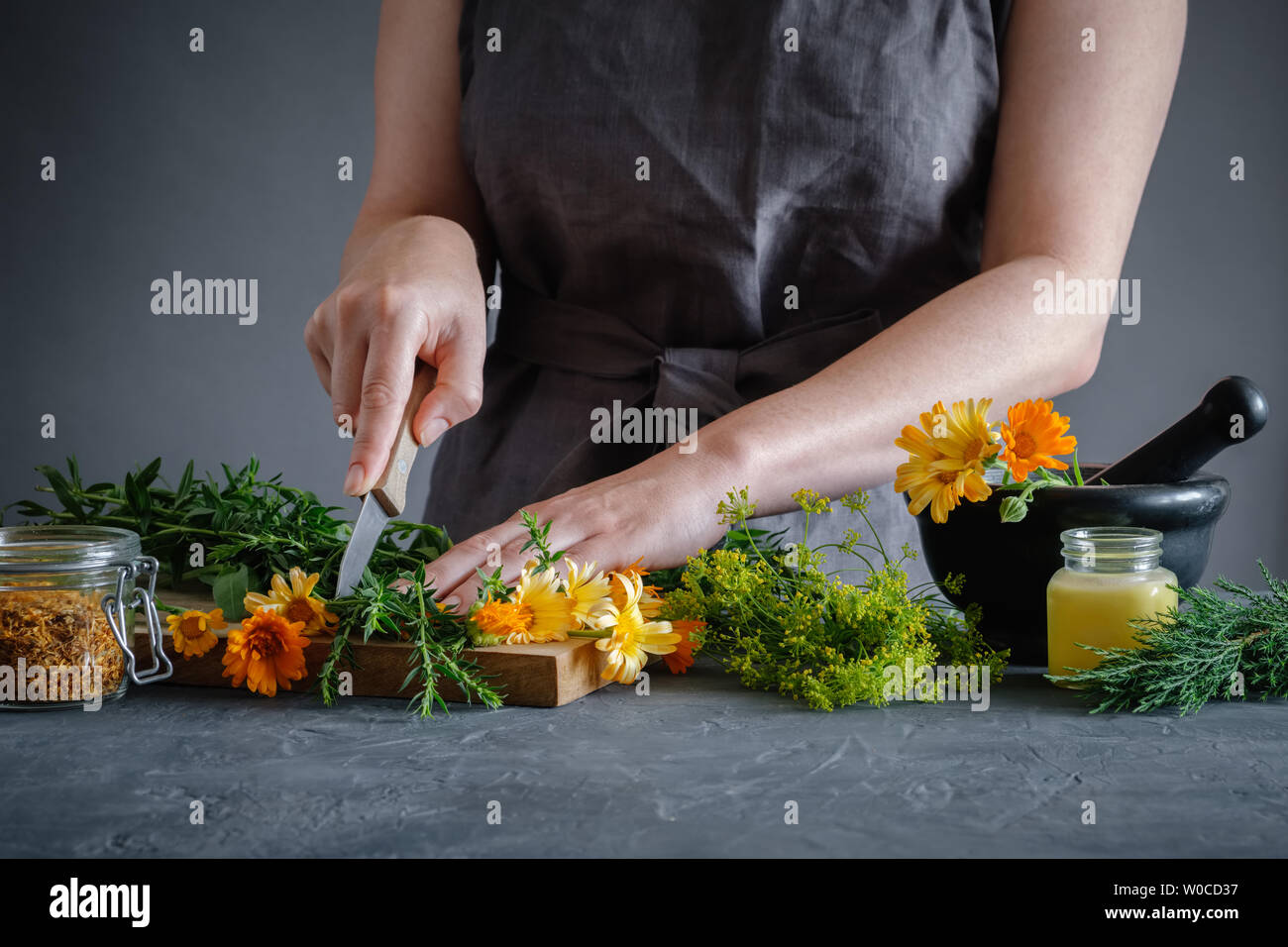 Herbalist Frau hacken Heilpflanzen mit einem Messer heilende Medikamente für die Behandlung vorzubereiten. Kräutermedizin Konzept. Stockfoto