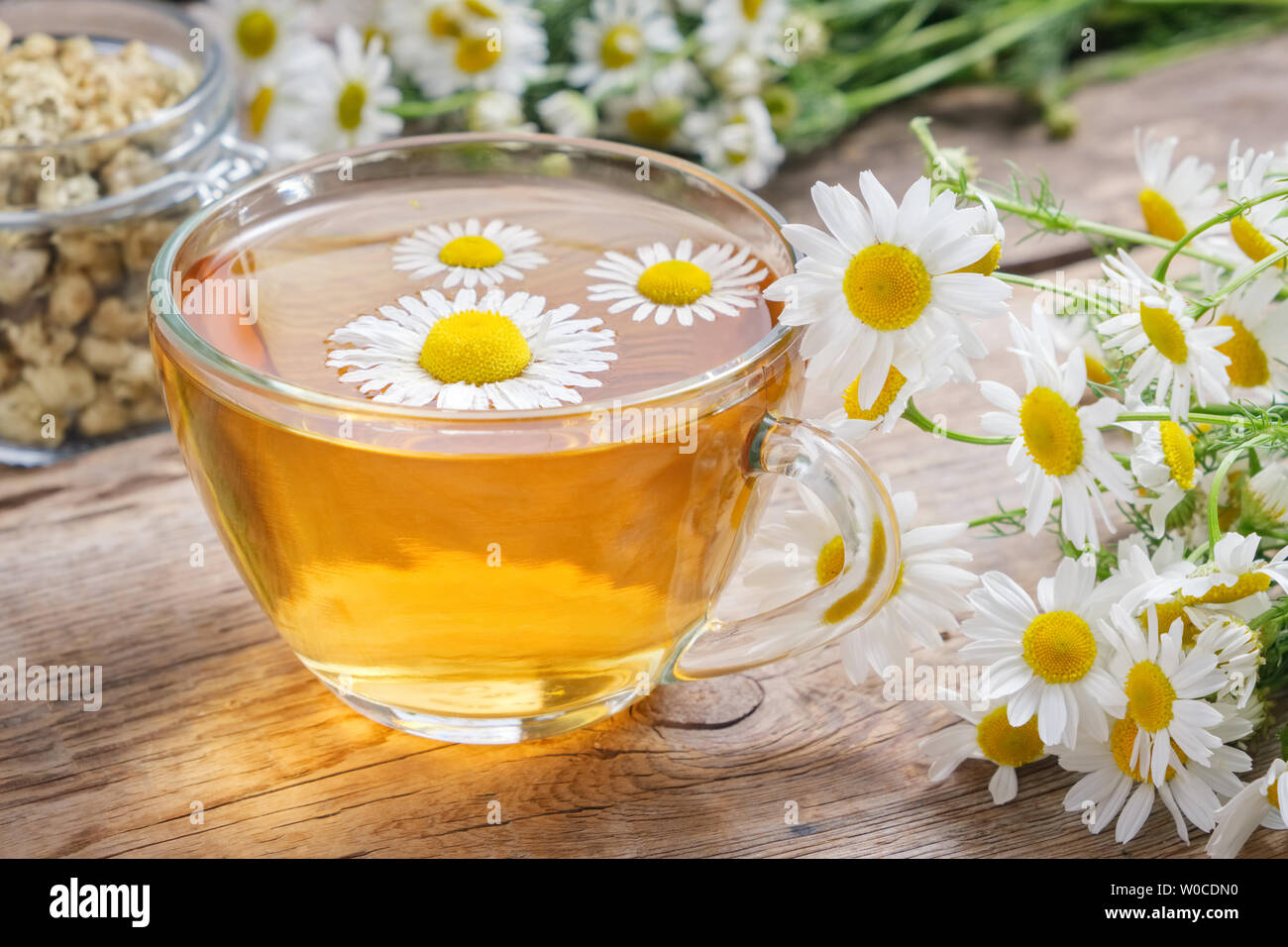 Daisy Flowers in transparentem Glas Tee Tasse , Kamille Kräuter und Glas Glas trockener Gänseblümchen Knospen. Stockfoto