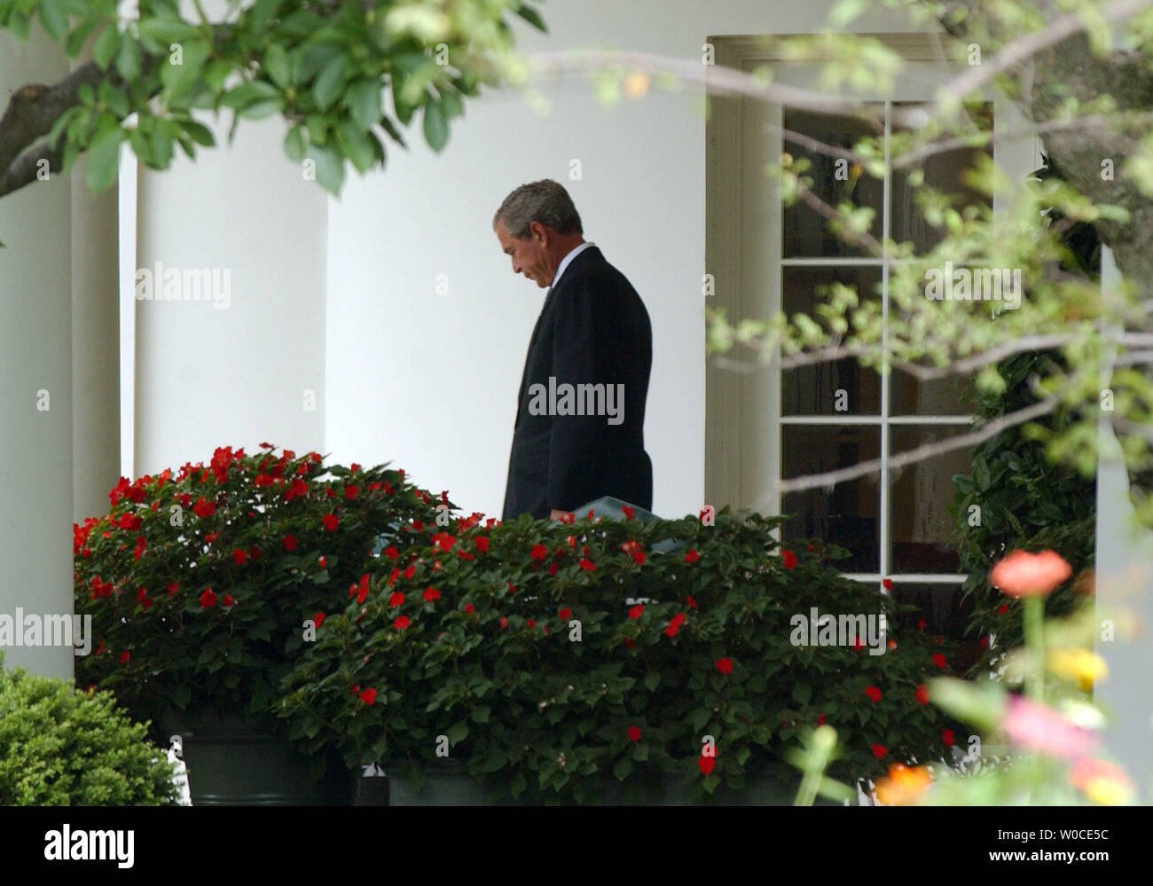 Präsident George W. Bush Spaziergänge vom Weißen Haus zur Unterzeichnung ceremonty der USA - Australien Freihandelsabkommen Umsetzung Handeln im Rosengarten am August 3, 2004. (UPI Foto/Roger L. Wollenberg) Stockfoto