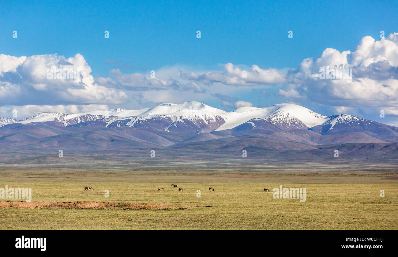 Qinghai-Tibet Plateau und Prairie Stockfoto