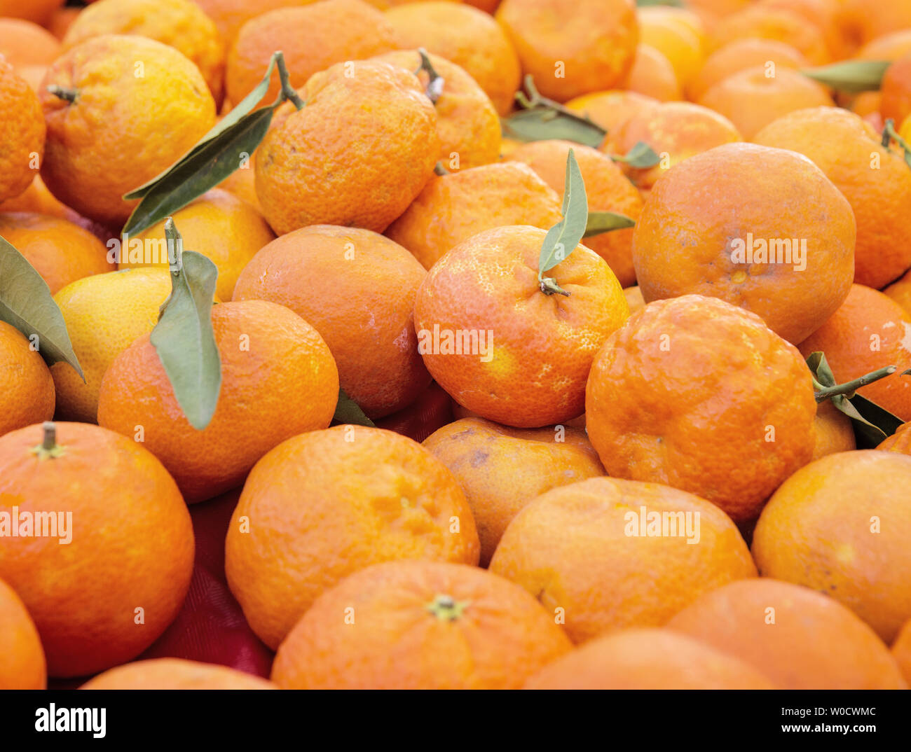 Viele lose Orangen unverpackt Hintergrund Stockfoto