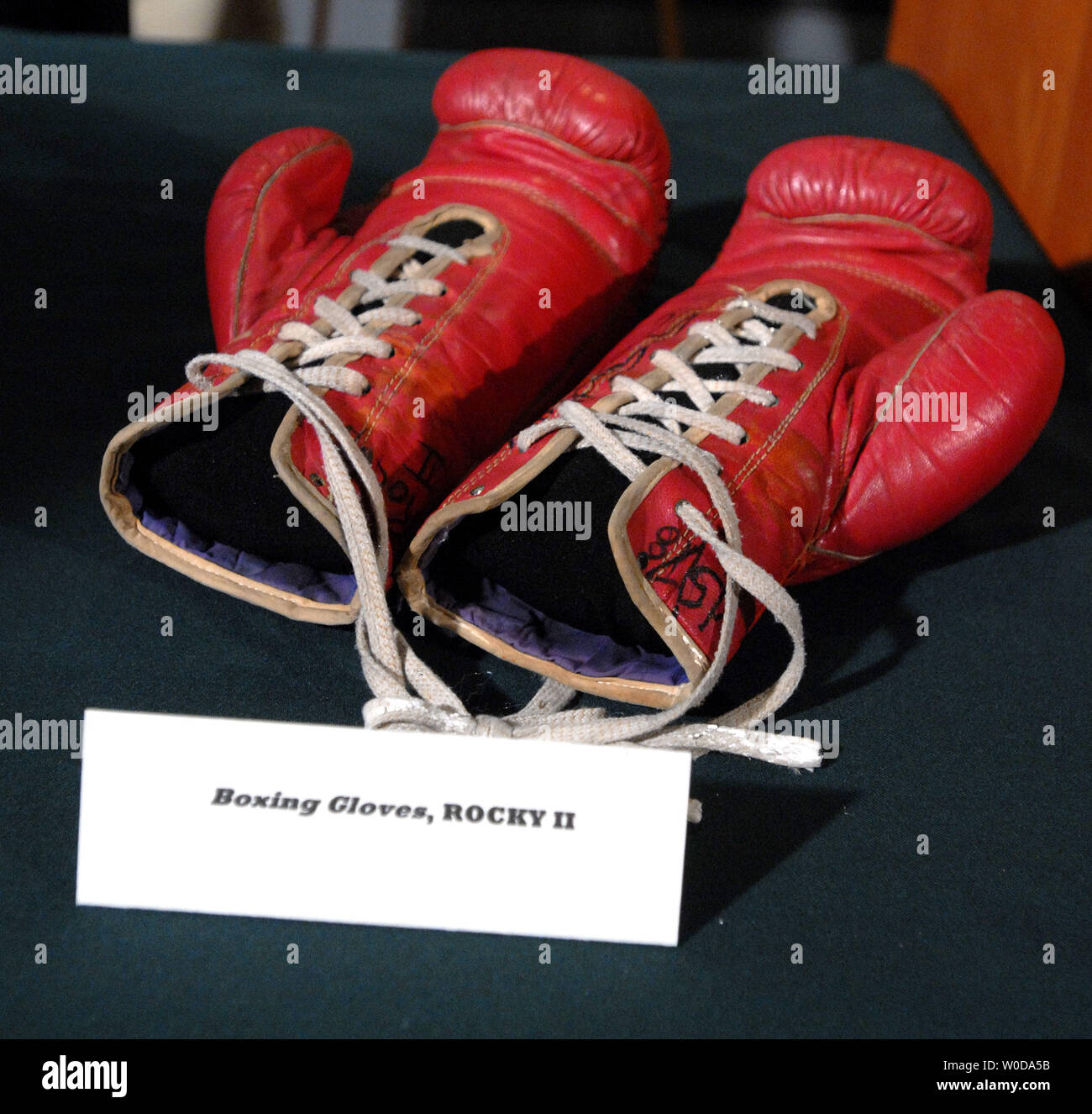 Schauspieler und Filmemacher Sylvester Stallone spendete seine Boxhandschuhe von "Rocky II" und andere Objekte aus dem Academy Award-winning' Filme Rocky' der Smithsonian nationalen Museum der amerikanischen Geschichte in Washington am 5. Dezember 2006. (UPI Foto/Roger L. Wollenberg) Stockfoto