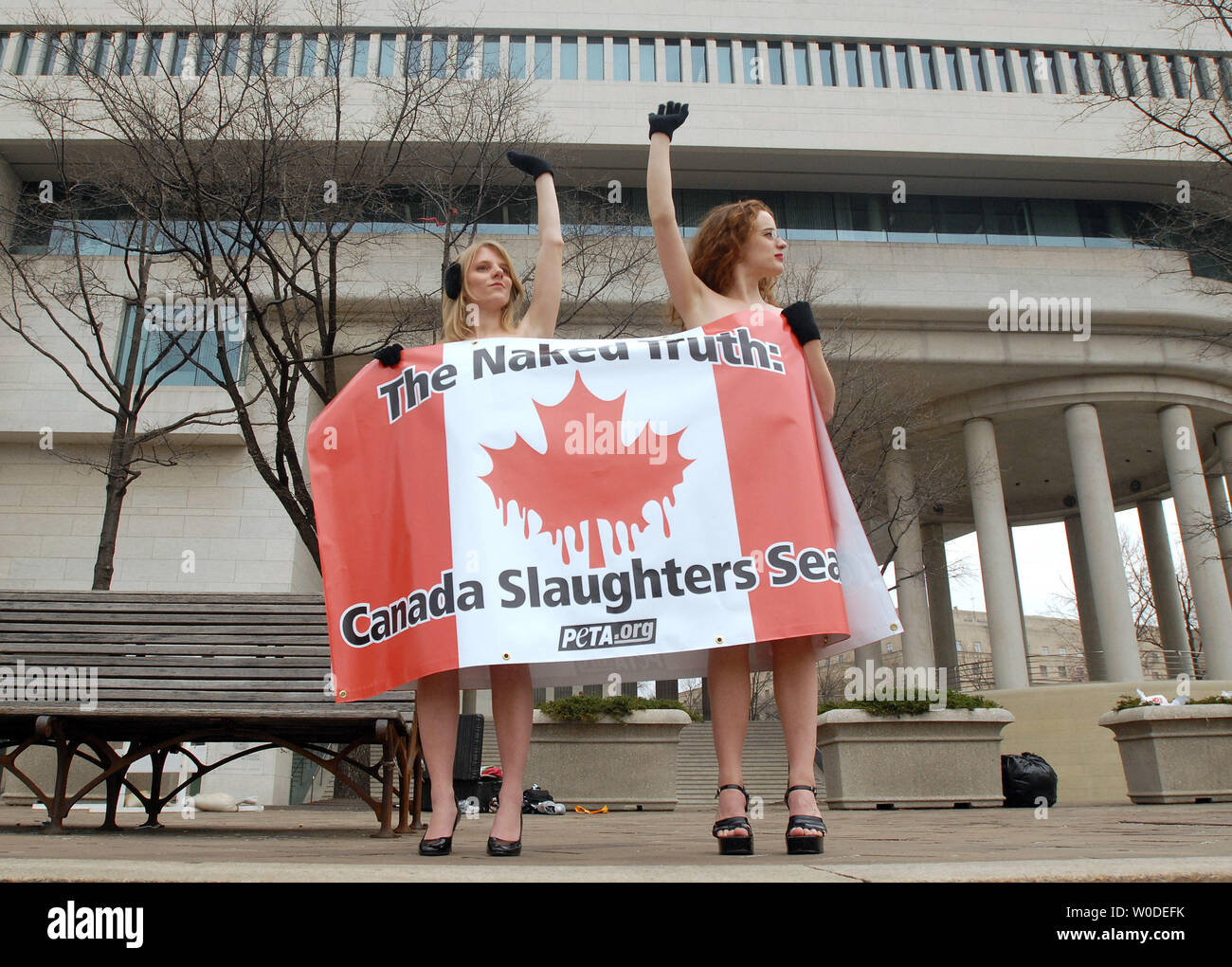 PETA Demonstranten Valerie Gleaton (L) und Liz Sanger Protest gegen die Jagd auf Robben in Kanada außerhalb der Kanadischen Botschaft in Washington am 15. März 2007. (UPI Foto/Roger L. Wollenberg) Stockfoto
