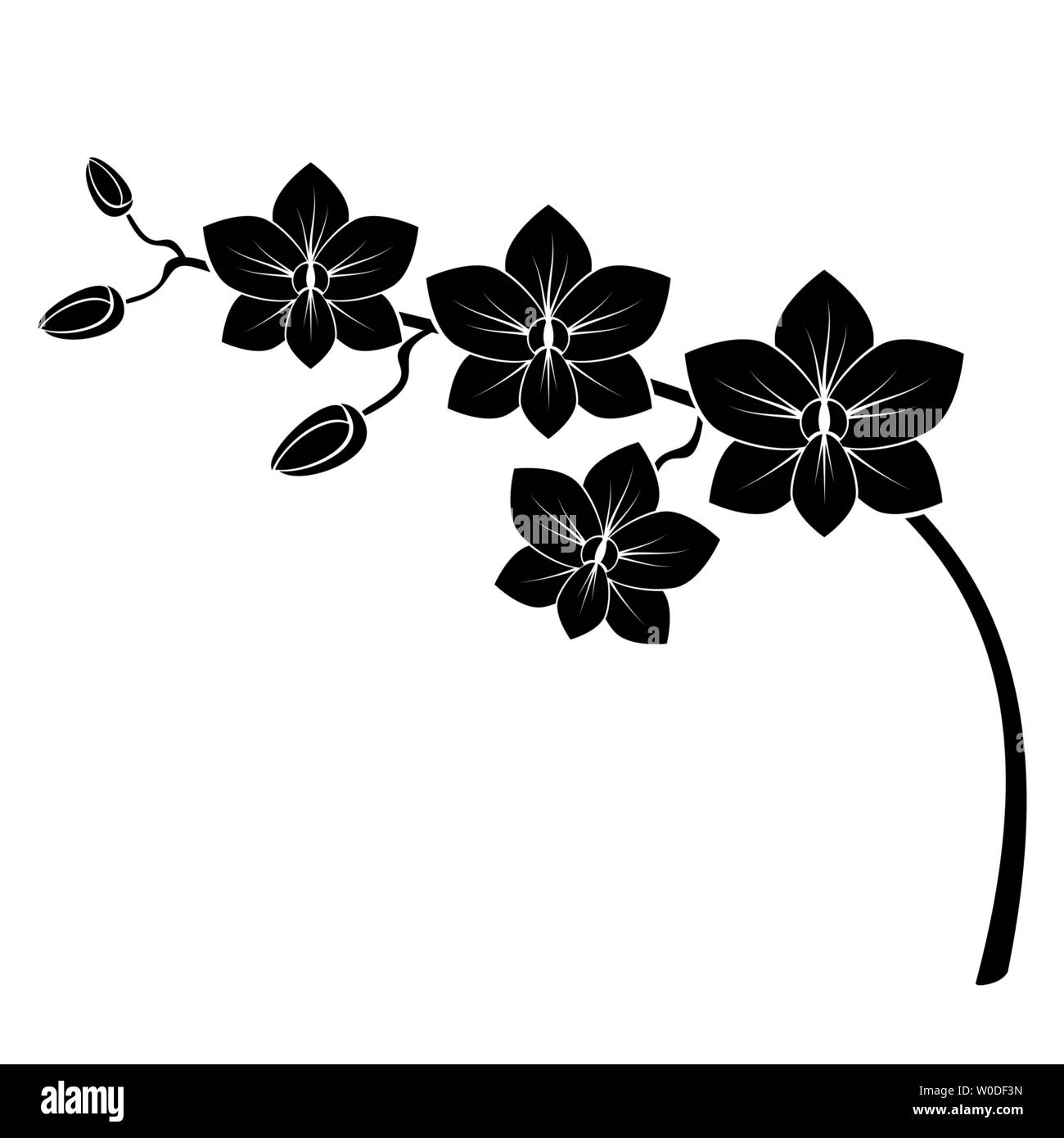 Orchid Zweig silhouette Vektor für Design Stock Vektor