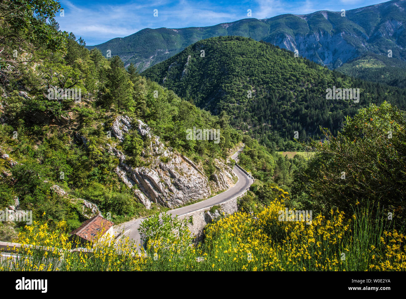 Frankreich, Vaucluse, Brantes, Toulourenc Tal und Nordhang des Mont Ventoux Stockfoto