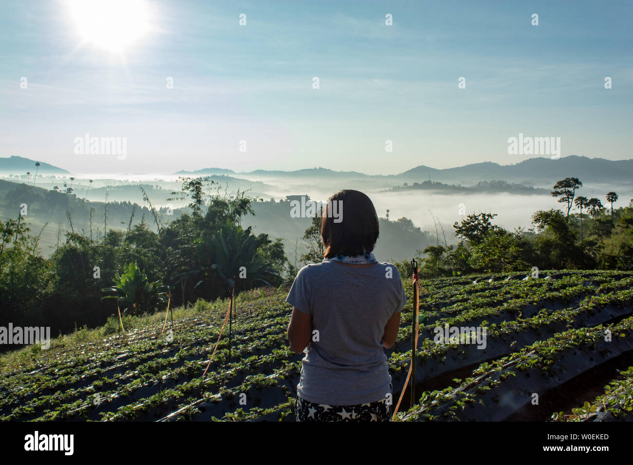 Frauen sind gerade die Nebel auf dem Berg. Stockfoto