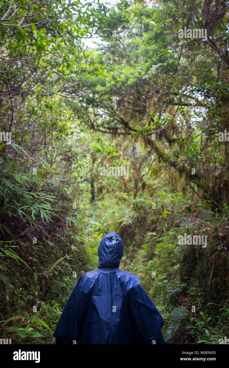 Frau unter einem blauen Regencape zu Fuß auf den Weg in die Blue Mountain, Jamaika Stockfoto