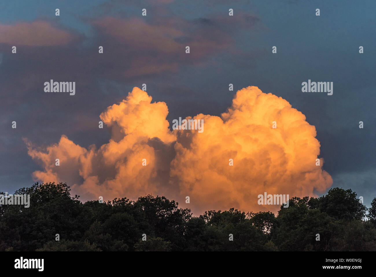 Frankreich, Hautes Pyrénées, Sonnenuntergang am Vallée d'Aure und eine große Wolke über dem Bäume Stockfoto