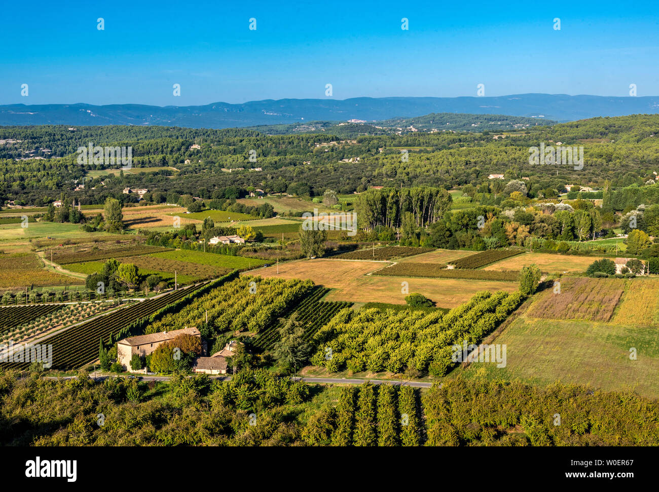 Frankreich, Lubéron, Vaucluse, der Comtat Venaissin Ebene und den Mont Ventoux Berg gesehen von Ménerbes (schönste Dorf in Frankreich) Stockfoto