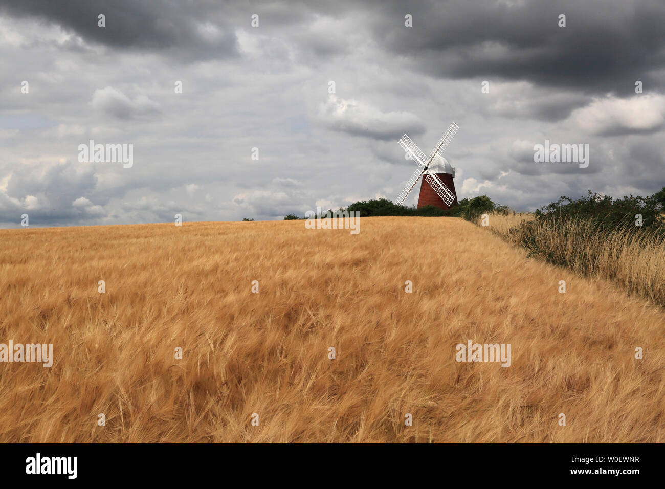 Vereinigtes Königreich, England. Sussex. Chichester. Halnaker Hill. Windmühle Stockfoto