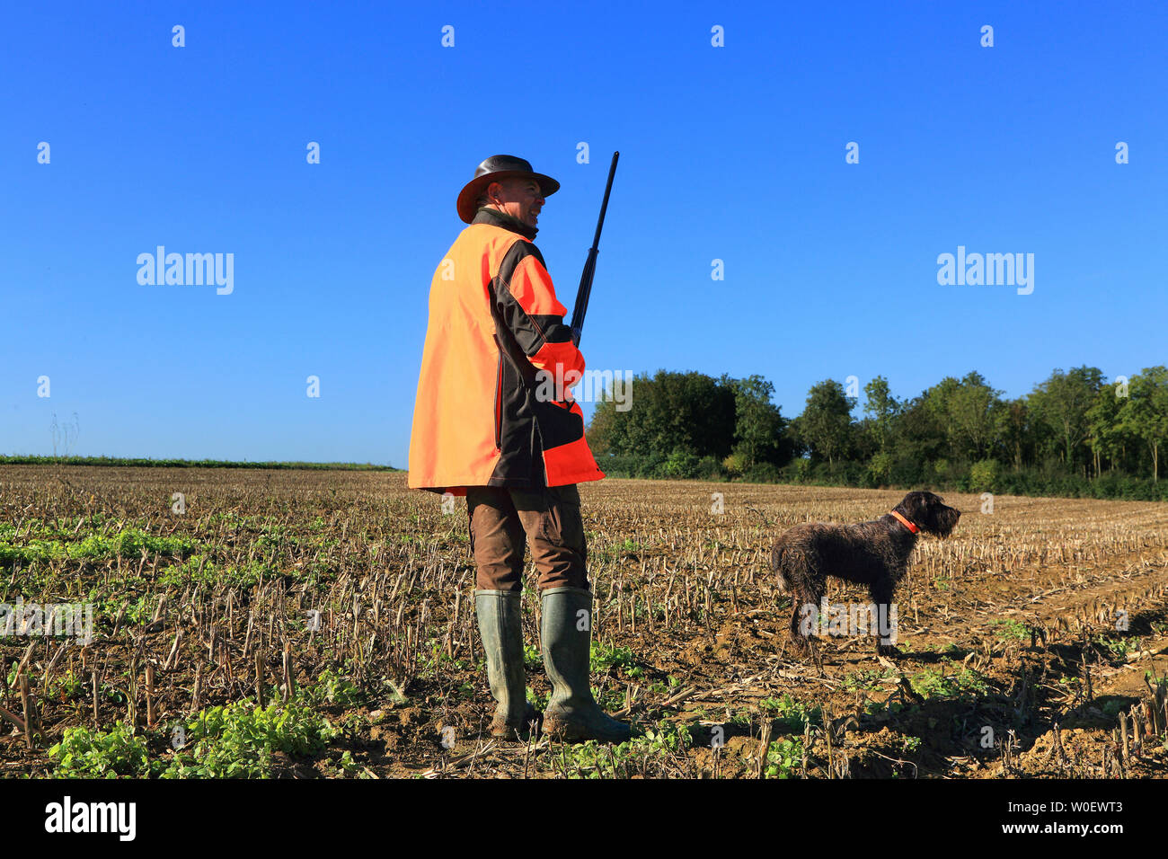 Frankreich, Jagd. Jäger mit seinem Hund Stockfoto